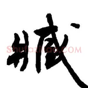 臧