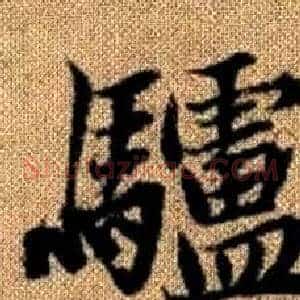 驢