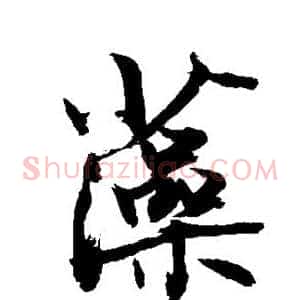 藻