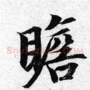 瞻
