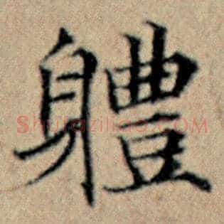 体