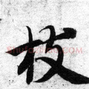 枝