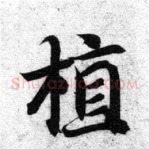 植