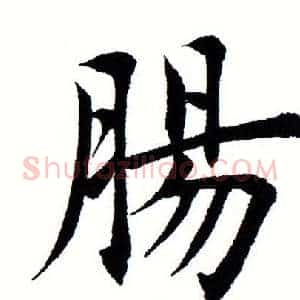 肠