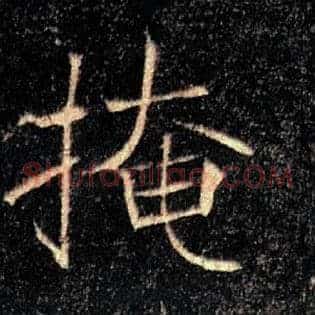 掩