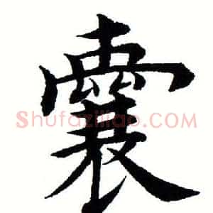 囊
