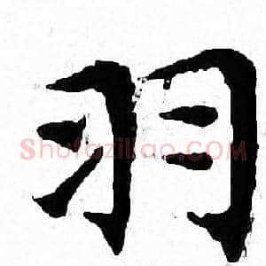 羽