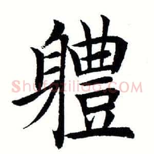 体