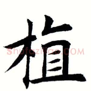 植