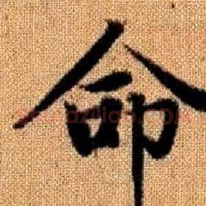 命
