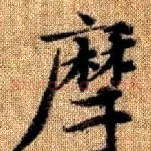摩