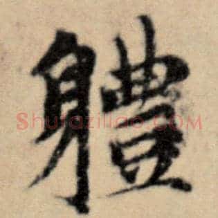 体