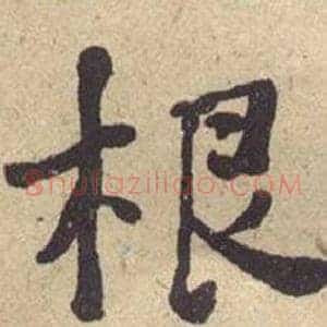 根