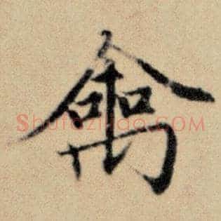 禽
