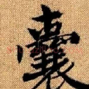 囊