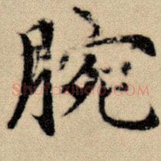 腕