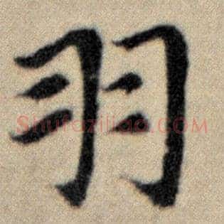 羽
