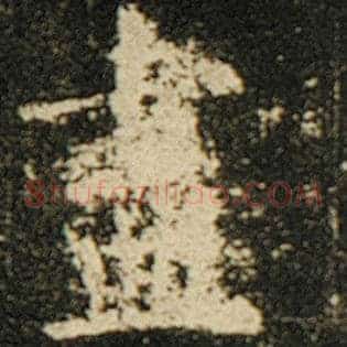 尽