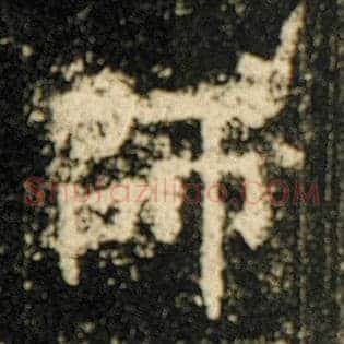 师