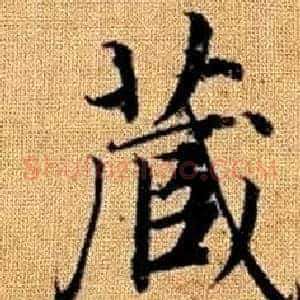 藏