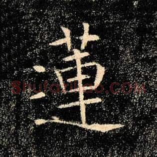 莲