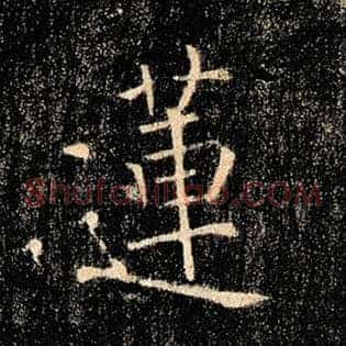 莲