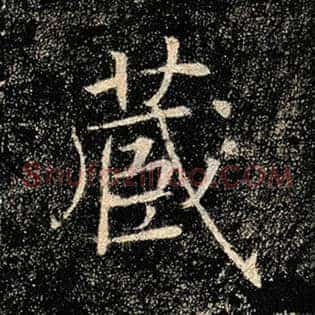 藏