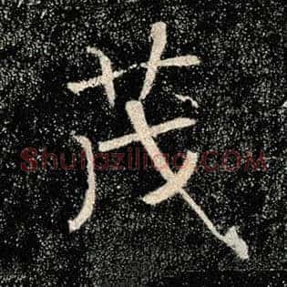 茂