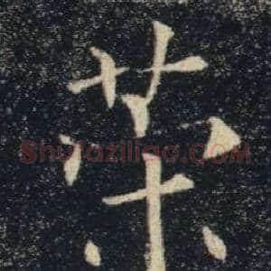 策