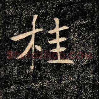 桂