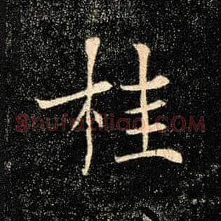 桂