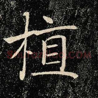 植