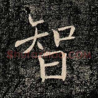智