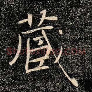 藏