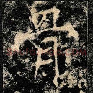 骨
