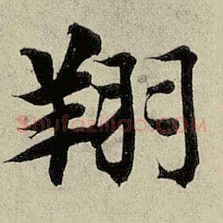 翔