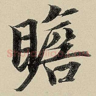 瞻