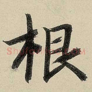 根