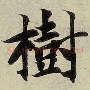 树