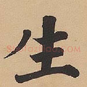 生