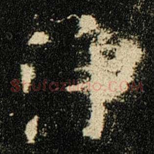 净