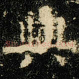 与