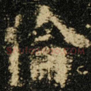 伦