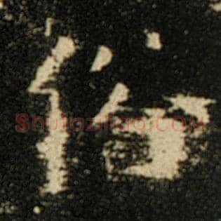 俗
