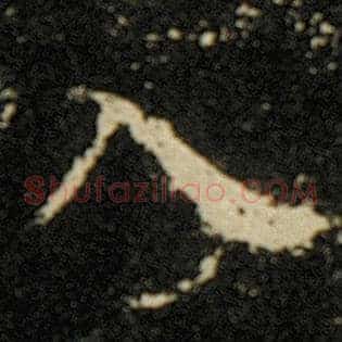 入