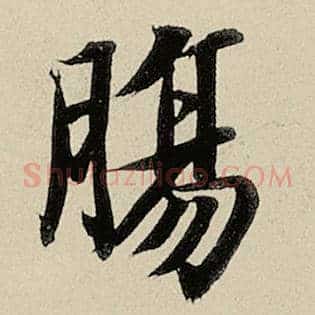 肠