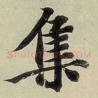 集