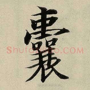 囊