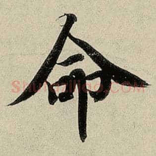 命