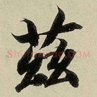 兹